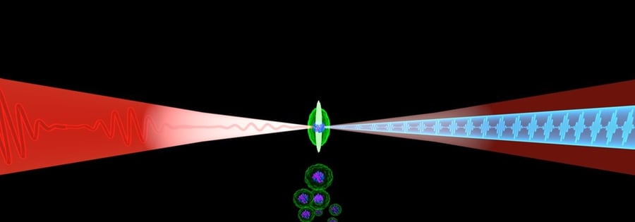 HHG visual image