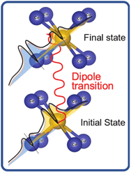 Spin Dynamics